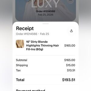 16" Dirty Blonde Highlights Hair Fill-Ins 80g